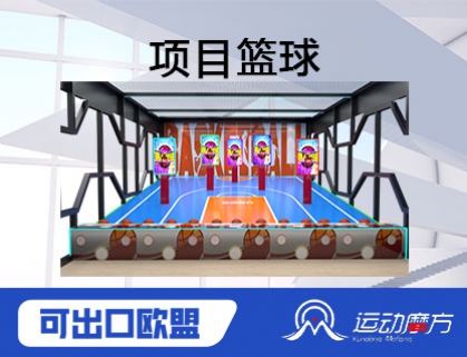 项目篮球